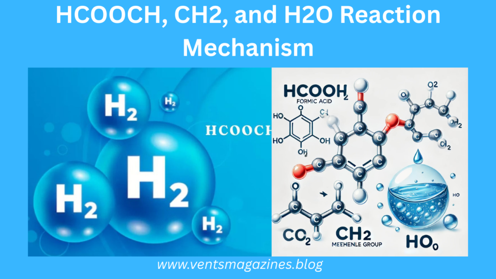 HCOOCH CH2 and H2O Reaction Mechanism HCOOCH CH2 H2O